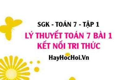 Lý thuyết Toán 7 Bài 1: Tập Hợp Các Số Hữu Tỉ - Ví Dụ chi tiết (Kết Nối Tri Thức)